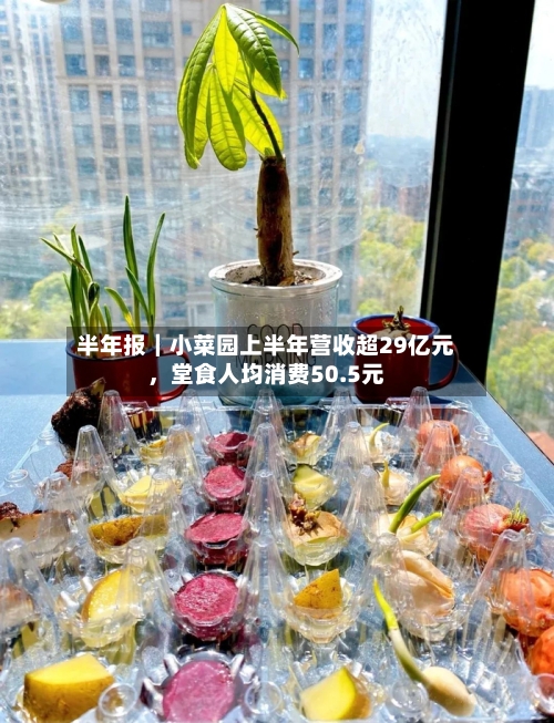 半年报｜小菜园上半年营收超29亿元，堂食人均消费50.5元