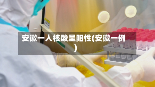 安徽一人核酸呈阳性(安徽一例)