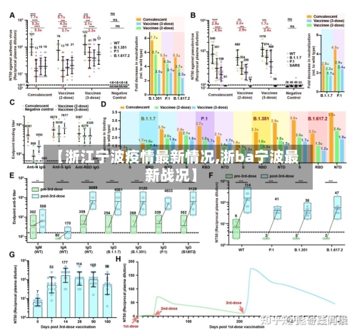 【浙江宁波疫情最新情况,浙ba宁波最新战况】