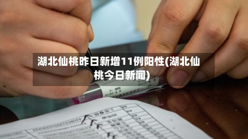 湖北仙桃昨日新增11例阳性(湖北仙桃今日新闻)-第2张图片