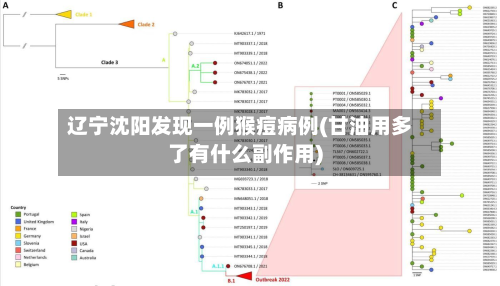 辽宁沈阳发现一例猴痘病例(甘油用多了有什么副作用)-第3张图片
