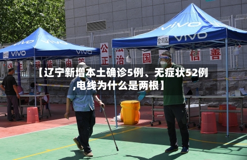 【辽宁新增本土确诊5例	、无症状52例,电线为什么是两根】-第2张图片