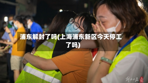浦东解封了吗(上海浦东新区今天停工了吗)