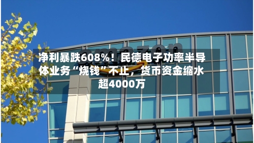 净利暴跌608%！民德电子功率半导体业务“烧钱	”不止，货币资金缩水超4000万-第2张图片
