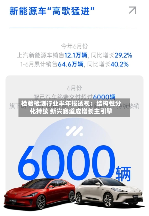 检验检测行业半年报透视:结构性分化持续 新兴赛道成增长主引擎-第3张图片