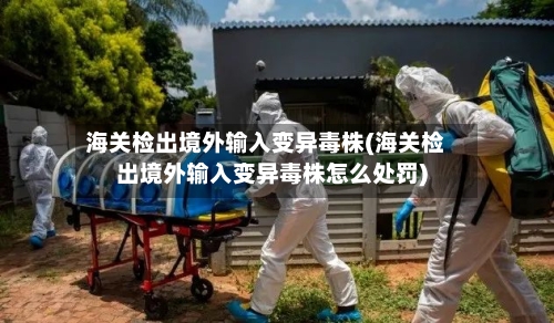 海关检出境外输入变异毒株(海关检出境外输入变异毒株怎么处罚)
