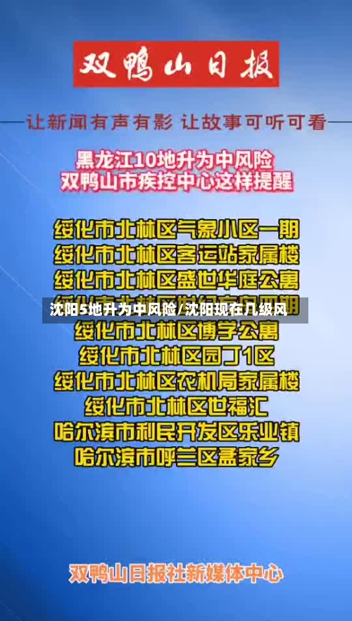 沈阳5地升为中风险/沈阳现在几级风-第3张图片