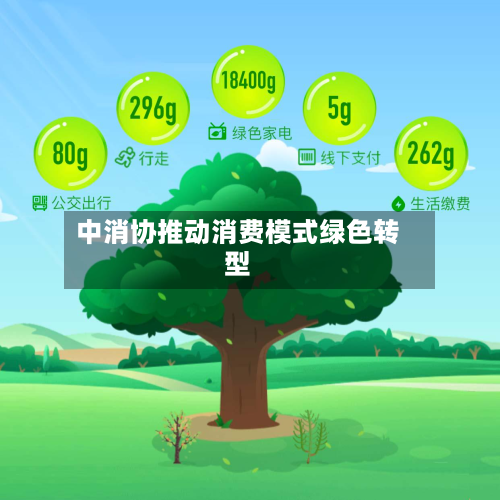 中消协推动消费模式绿色转型