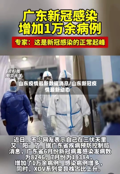 山东疫情最新数据消息/山东新冠疫情最新动态-第2张图片