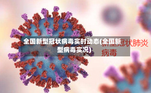 全国新型冠状病毒实时动态(全国新型病毒实况)-第3张图片