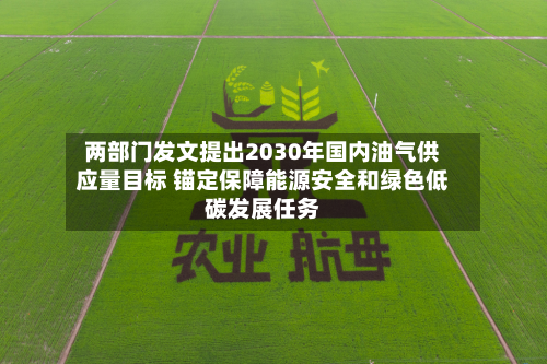 两部门发文提出2030年国内油气供应量目标 锚定保障能源安全和绿色低碳发展任务-第2张图片