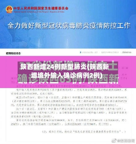 陕西新增24例新型肺炎(陕西新增境外输入确诊病例2例)-第3张图片