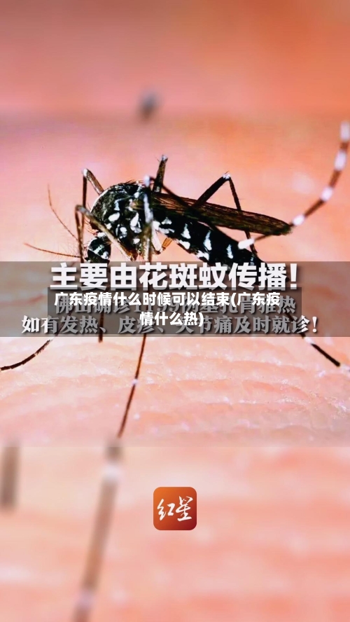 广东疫情什么时候可以结束(广东疫情什么热)-第3张图片