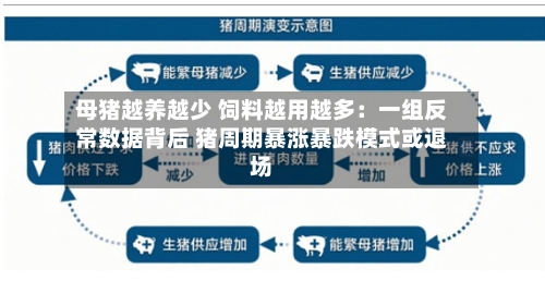 母猪越养越少 饲料越用越多：一组反常数据背后 猪周期暴涨暴跌模式或退场-第2张图片