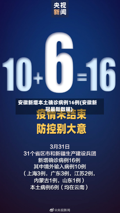 安徽新增本土确诊病例16例(安徽新冠最新数据)-第2张图片