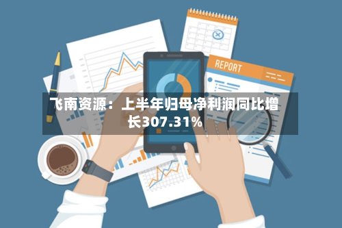 飞南资源：上半年归母净利润同比增长307.31%-第2张图片