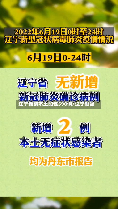 辽宁新增本土阳性590例/辽宁新冠-第2张图片