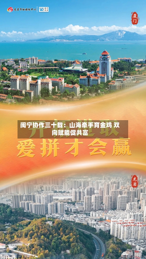 闽宁协作三十载：山海牵手育金鸡 双向赋能促共富-第3张图片