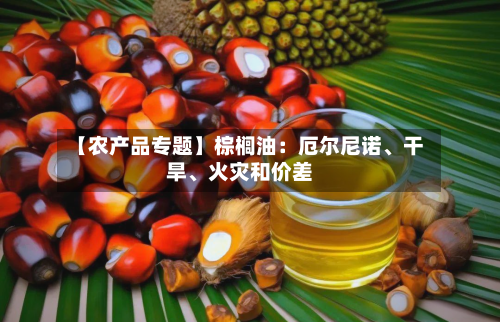 【农产品专题】棕榈油：厄尔尼诺、干旱、火灾和价差-第3张图片