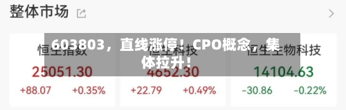 603803，直线涨停！CPO概念	，集体拉升！-第2张图片