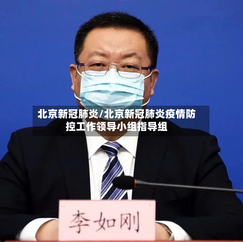 北京新冠肺炎/北京新冠肺炎疫情防控工作领导小组指导组