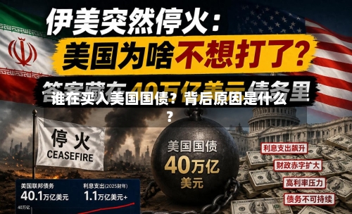 谁在买入美国国债？背后原因是什么？