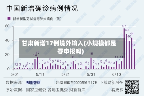 甘肃新增17例境外输入(小规模都是零申报吗)