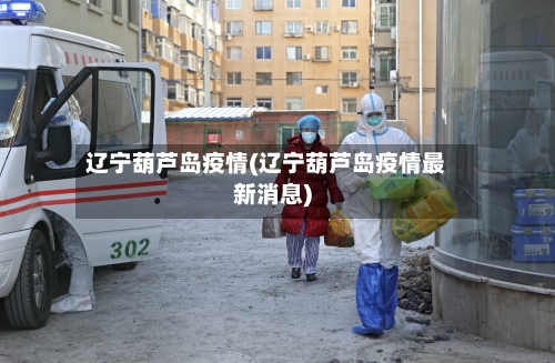 辽宁葫芦岛疫情(辽宁葫芦岛疫情最新消息)-第2张图片
