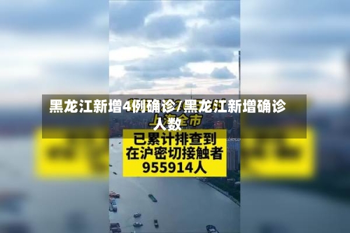 黑龙江新增4例确诊/黑龙江新增确诊人数-第3张图片