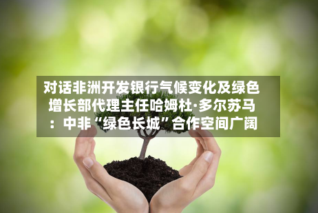 对话非洲开发银行气候变化及绿色增长部代理主任哈姆杜·多尔苏马：中非“绿色长城	”合作空间广阔-第3张图片