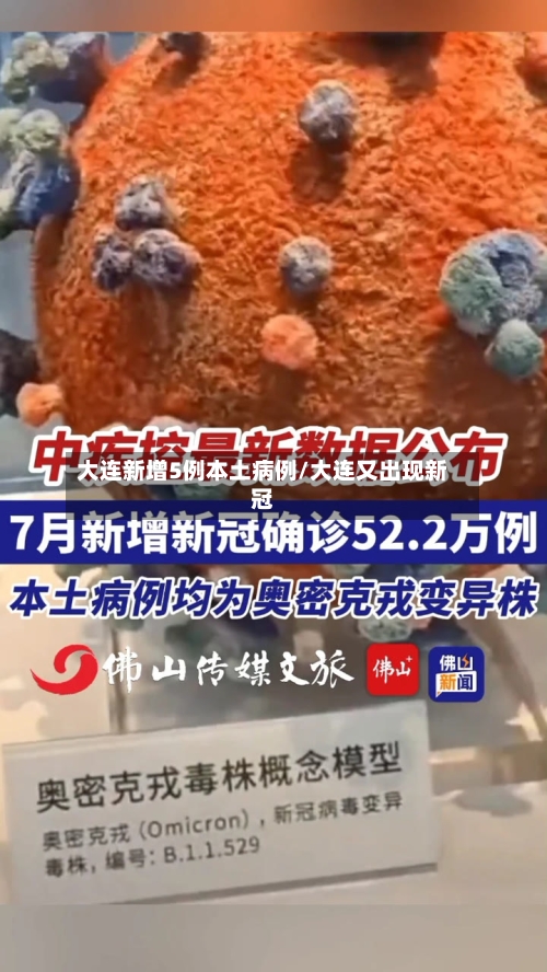 大连新增5例本土病例/大连又出现新冠-第3张图片