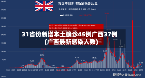 31省份新增本土确诊45例广西37例(广西最新感染人数)