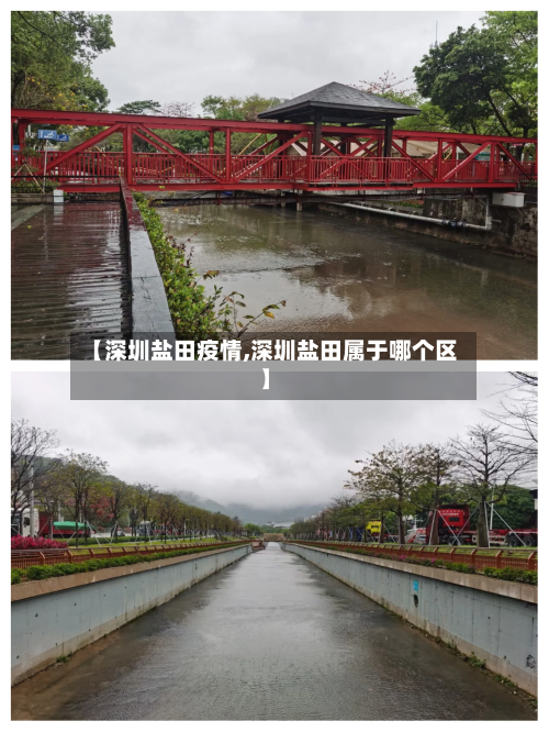 【深圳盐田疫情,深圳盐田属于哪个区】-第2张图片