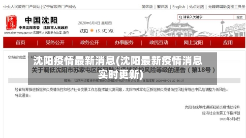 沈阳疫情最新消息(沈阳最新疫情消息实时更新)-第2张图片