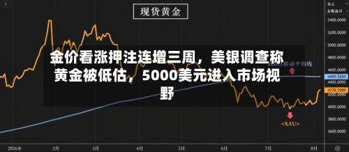 金价看涨押注连增三周，美银调查称黄金被低估，5000美元进入市场视野
