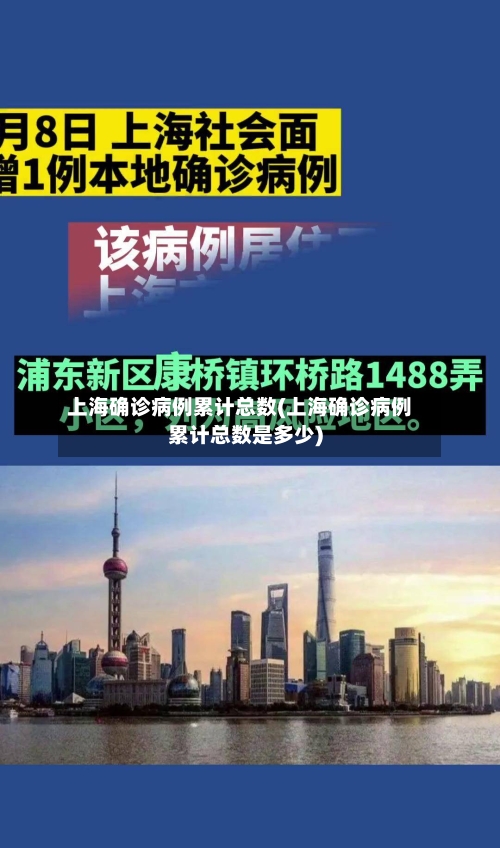 上海确诊病例累计总数(上海确诊病例累计总数是多少)-第2张图片