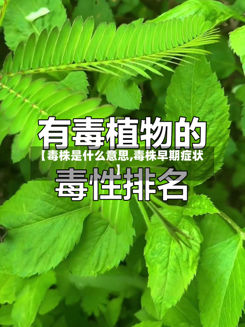【毒株是什么意思,毒株早期症状】-第2张图片