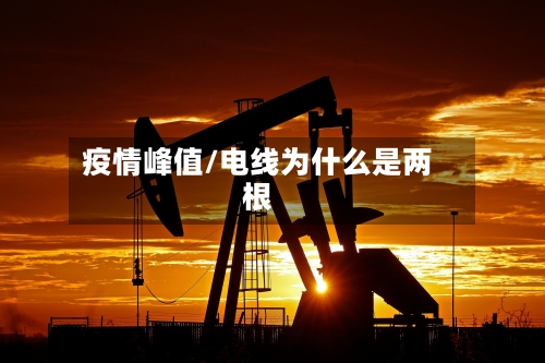 疫情峰值/电线为什么是两根-第2张图片