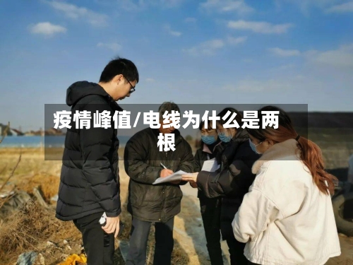 疫情峰值/电线为什么是两根