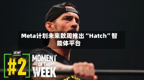 Meta计划未来数周推出“Hatch”智能体平台-第2张图片