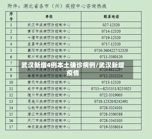 武汉新增4例本土确诊病例/武汉新增疫情-第2张图片