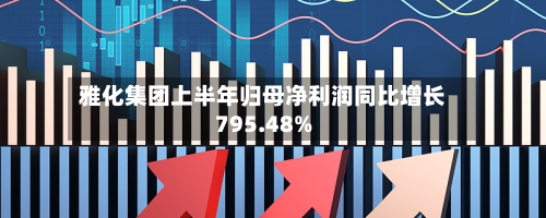 雅化集团上半年归母净利润同比增长795.48%-第2张图片