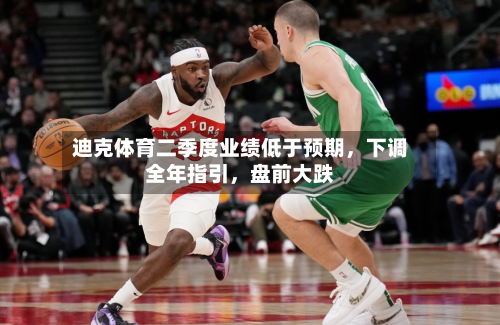 迪克体育二季度业绩低于预期，下调全年指引，盘前大跌-第2张图片