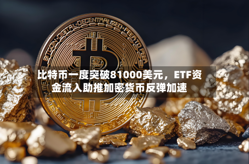 比特币一度突破81000美元	，ETF资金流入助推加密货币反弹加速-第2张图片