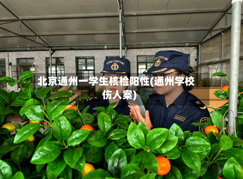 北京通州一学生核检阳性(通州学校伤人案)
