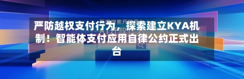 严防越权支付行为，探索建立KYA机制！智能体支付应用自律公约正式出台-第2张图片