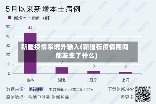 新疆疫情系境外输入(新疆在疫情期间都发生了什么)-第2张图片