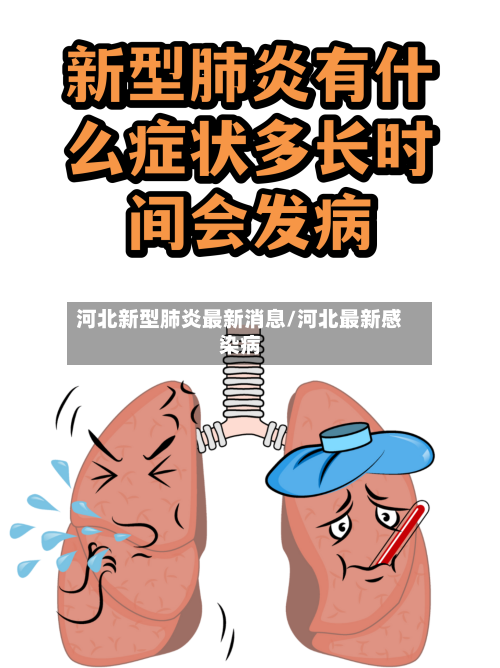 河北新型肺炎最新消息/河北最新感染病