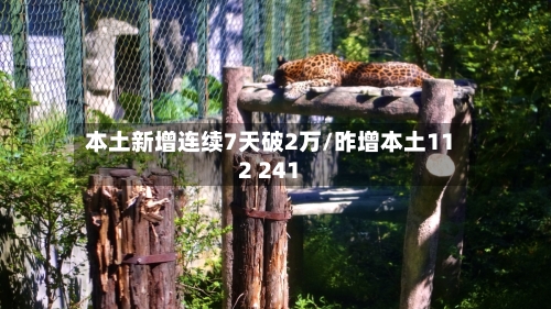 本土新增连续7天破2万/昨增本土112 241