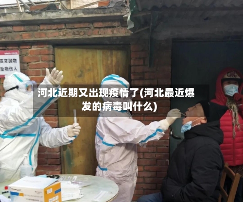 河北近期又出现疫情了(河北最近爆发的病毒叫什么)-第3张图片